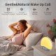 Світловий будильник Ecozy AC-SCE60A Sunrise Alarm Clock bluetooth-динамік з імітацією сходу та заходу сонця
