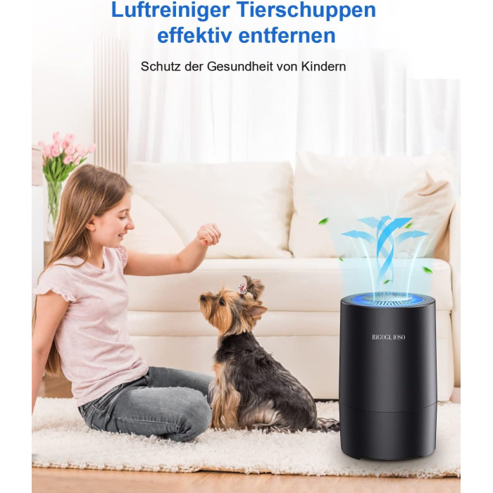 Очисник повітря RIGOGLIOSO SY900S Black