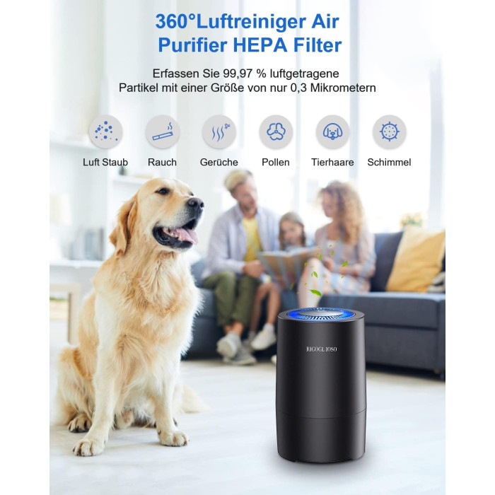 Очисник повітря RIGOGLIOSO SY900S Black