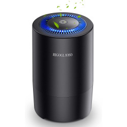 Очисник повітря RIGOGLIOSO SY900S Black