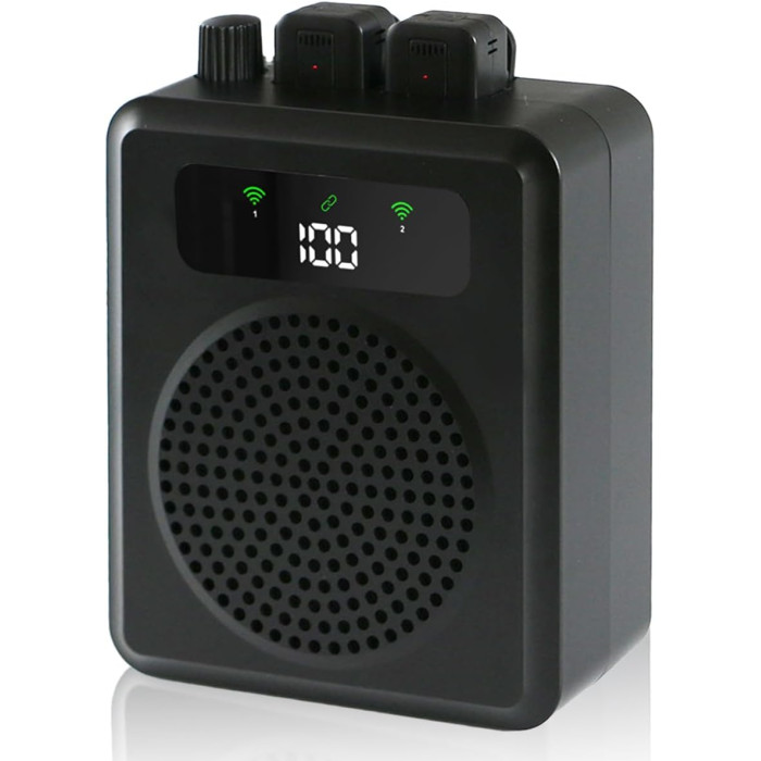 Портативный усилитель голоса с беспроводным микрофоном QEEKADA Black