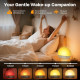 Світловий будильник Wake Up Light BL50 з імітацією сходу із поступовим збільшенням яскравості