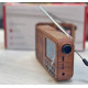 Портативне DAB/DAB Plus/FM радіо Arafuna DR112T