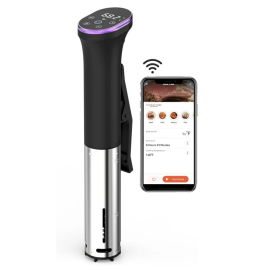 Су-вид Karienvir MZJ-22W Sous Vide Smart з керуванням через Wi-Fi